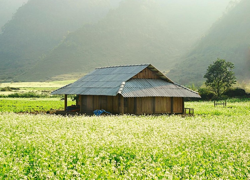 Ban-thung-cuong