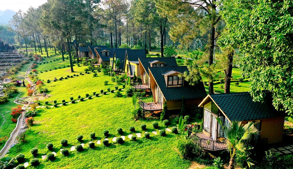 RỪNG THÔNG BẢN ÁNG