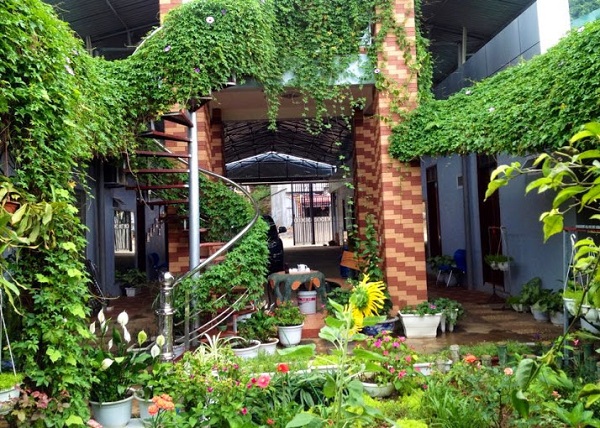 Nhà nghỉ Hoa Anh Đào Mộc Châu