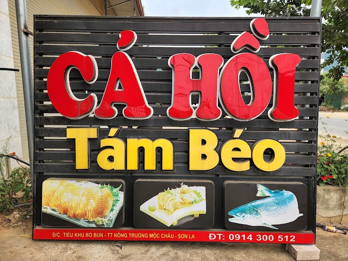 Cá Hồi Tám Béo