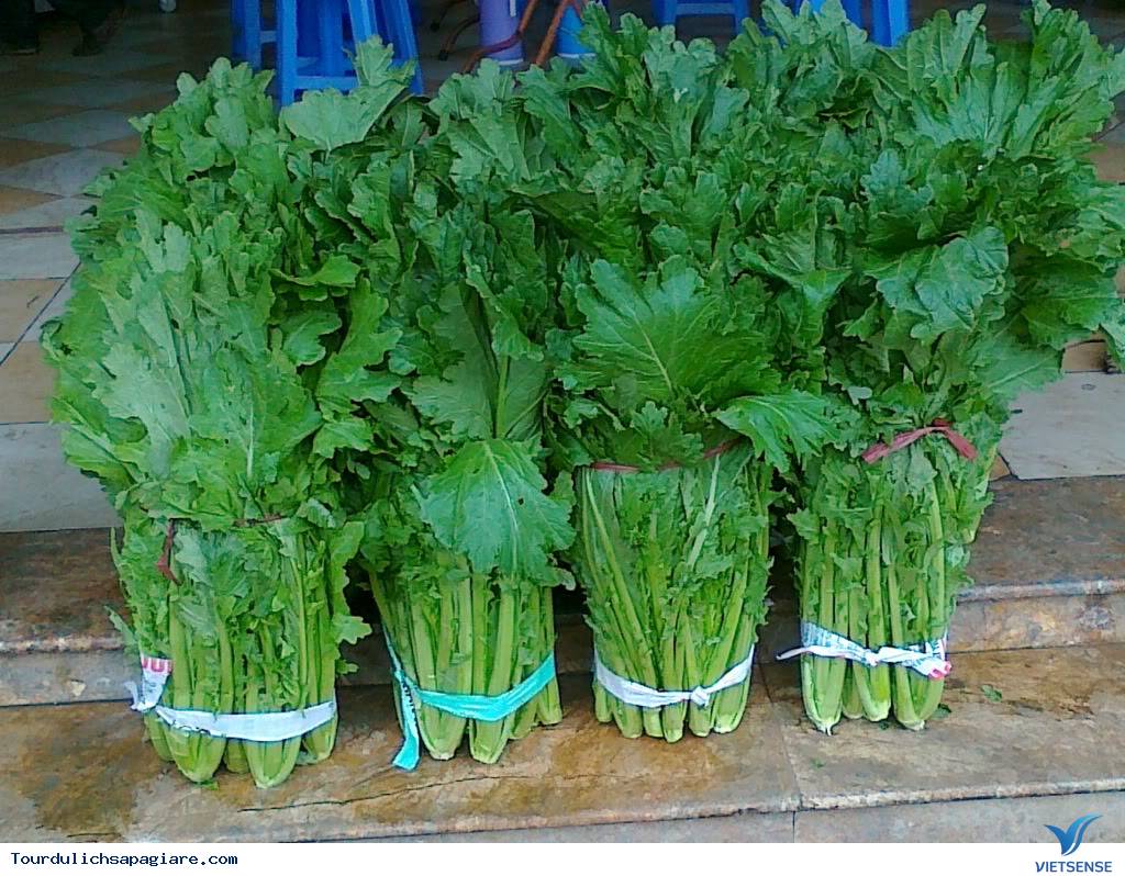 Rau cải mèo