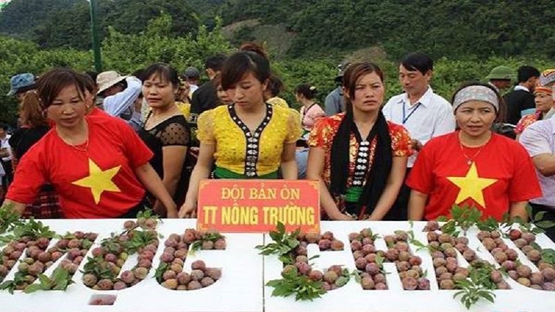 Ngày hội hái quả